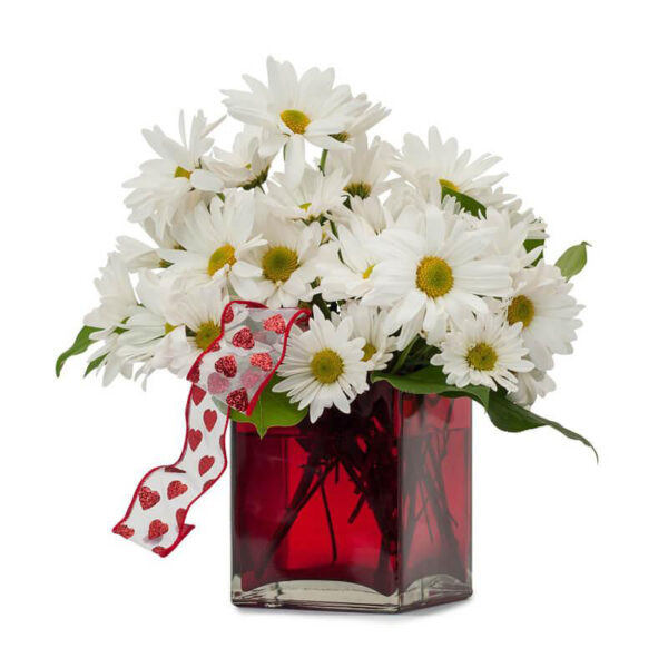 Bouquet of White Gerberas